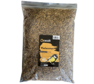 Oswalt Meelwormen 5kg